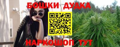 соль ск Можга
