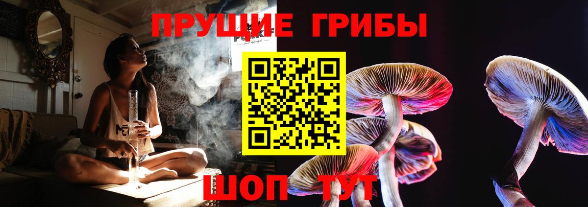 Галлюциногенные грибы мухоморы Усть-Илимск